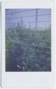 Sofie Fischer-Rasmussen Image 1